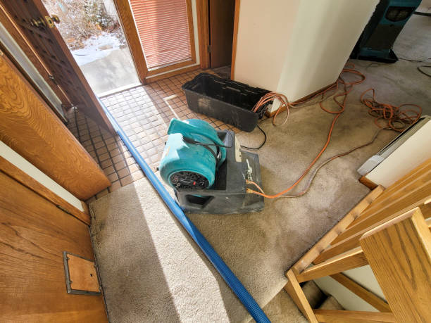 Best Water damage restoration cost  in Oak Hills, OR