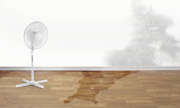 Best Flood restoration services  in Oak Hills, OR