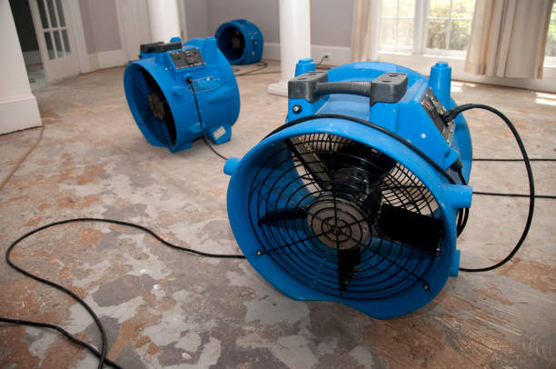 Best 24/7 water damage repair  in Oak Hills, OR