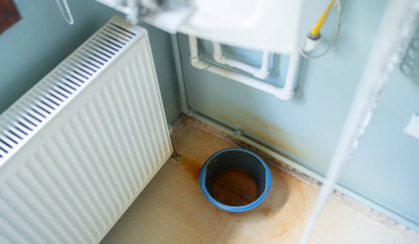 Best Water damage restoration mold remediation  in Oak Hills, OR